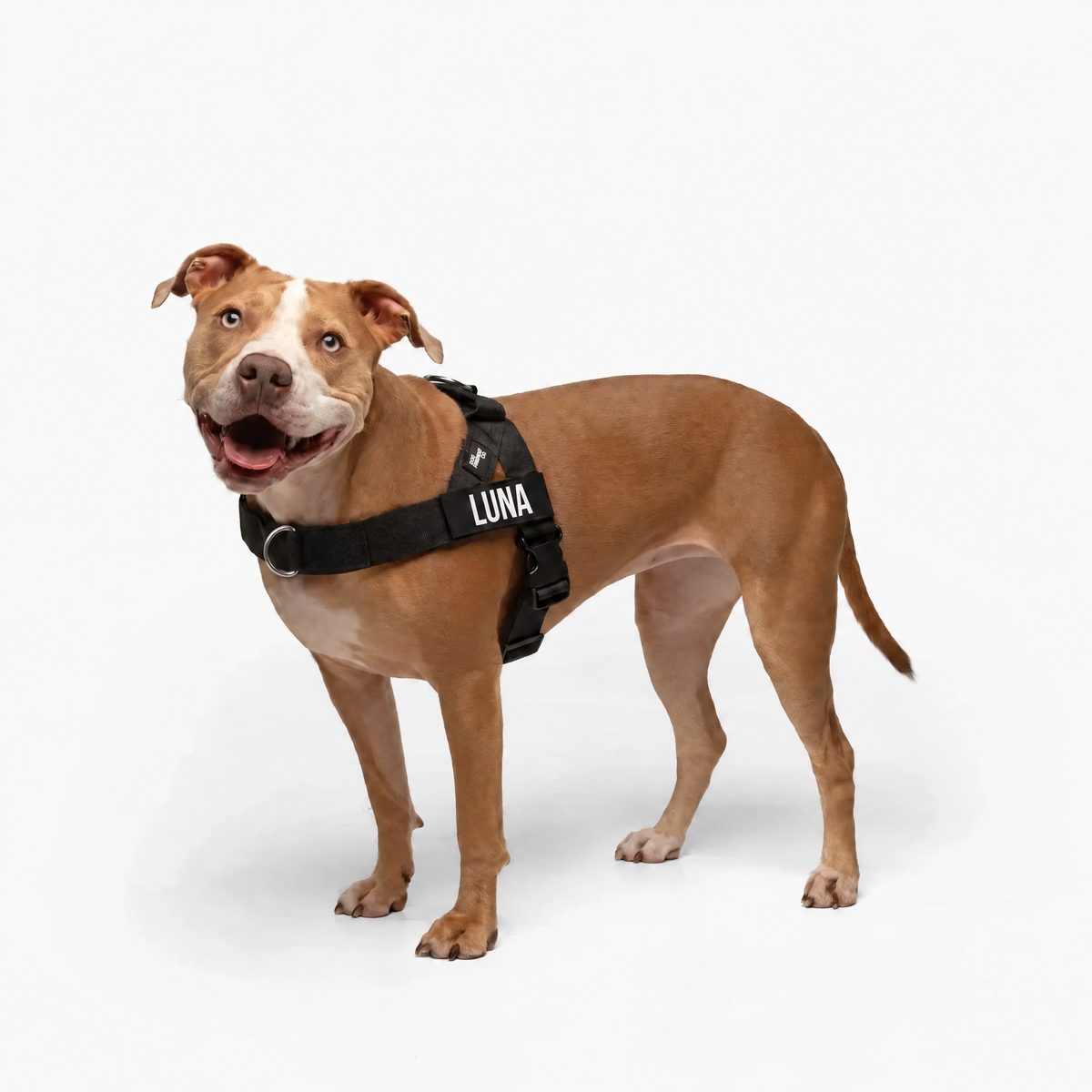 DogHuella™ Arnés Antitirones Personalizado