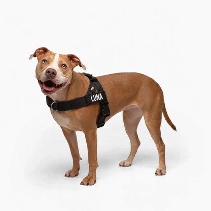 DogHuella™ Arnés Antitirones Personalizado