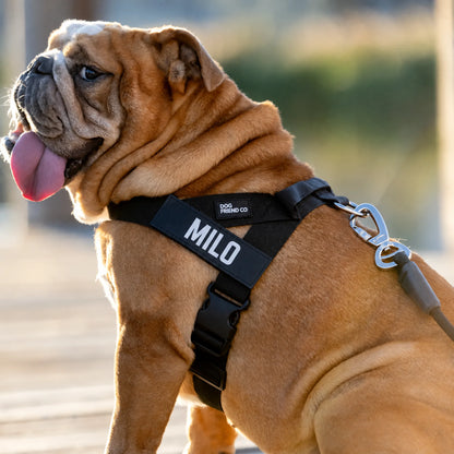 DogHuella™ Arnés Antitirones Personalizado